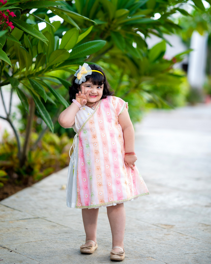 Baby Girl Floral Embroidered Angarakha Dress