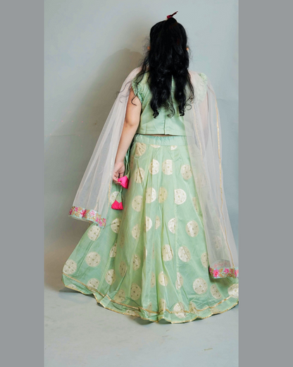 Girls Pastel Green Embroidered Chanderi Lehenga