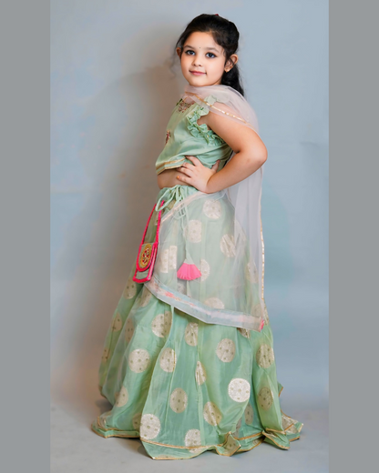 Girls Pastel Green Embroidered Chanderi Lehenga