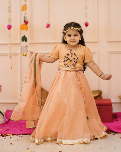 Girls Elegant Peach Hand Work Detaling Lehenga Set